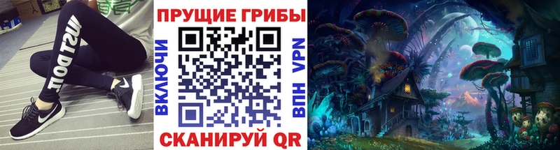 Купить где  Южа  Галлюциногенные грибы прущие грибы 